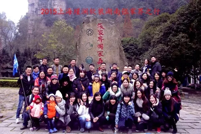 紫蘋(píng)果裝飾