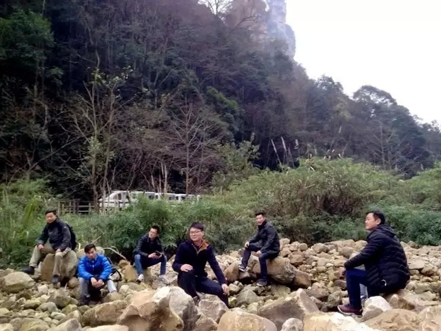 紫蘋(píng)果裝飾