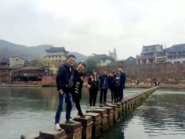 紫蘋(píng)果裝飾