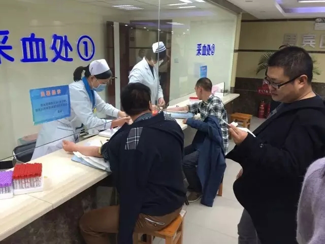 紫蘋(píng)果裝飾